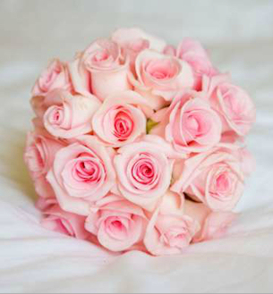 pinkroses
